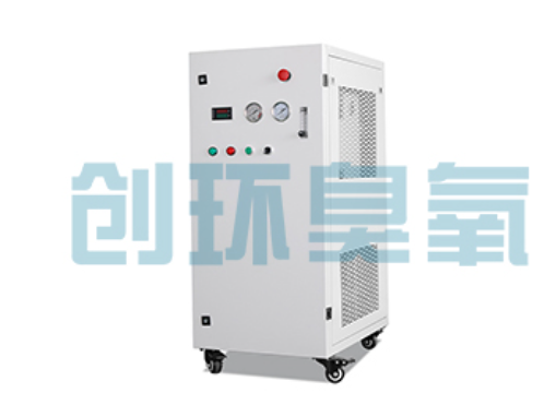 乐山石斑鱼养殖水质调控完整指南:臭氧发生器配置与操作步骤
