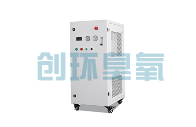 乐山比传统换水更高效?臭氧发生器在石斑鱼养殖中的水质净化原理解析